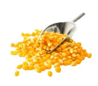 كيس ذره فشار سايب 250 جرام