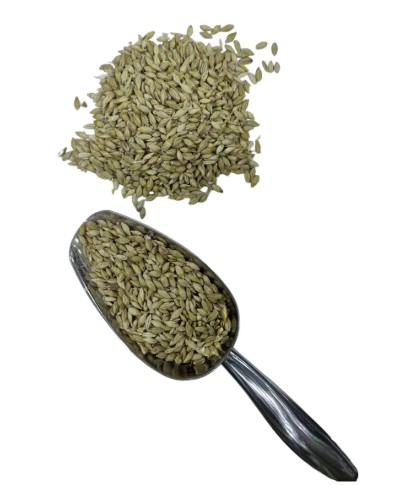 كيس لسان عصفور سايب 500 جرام